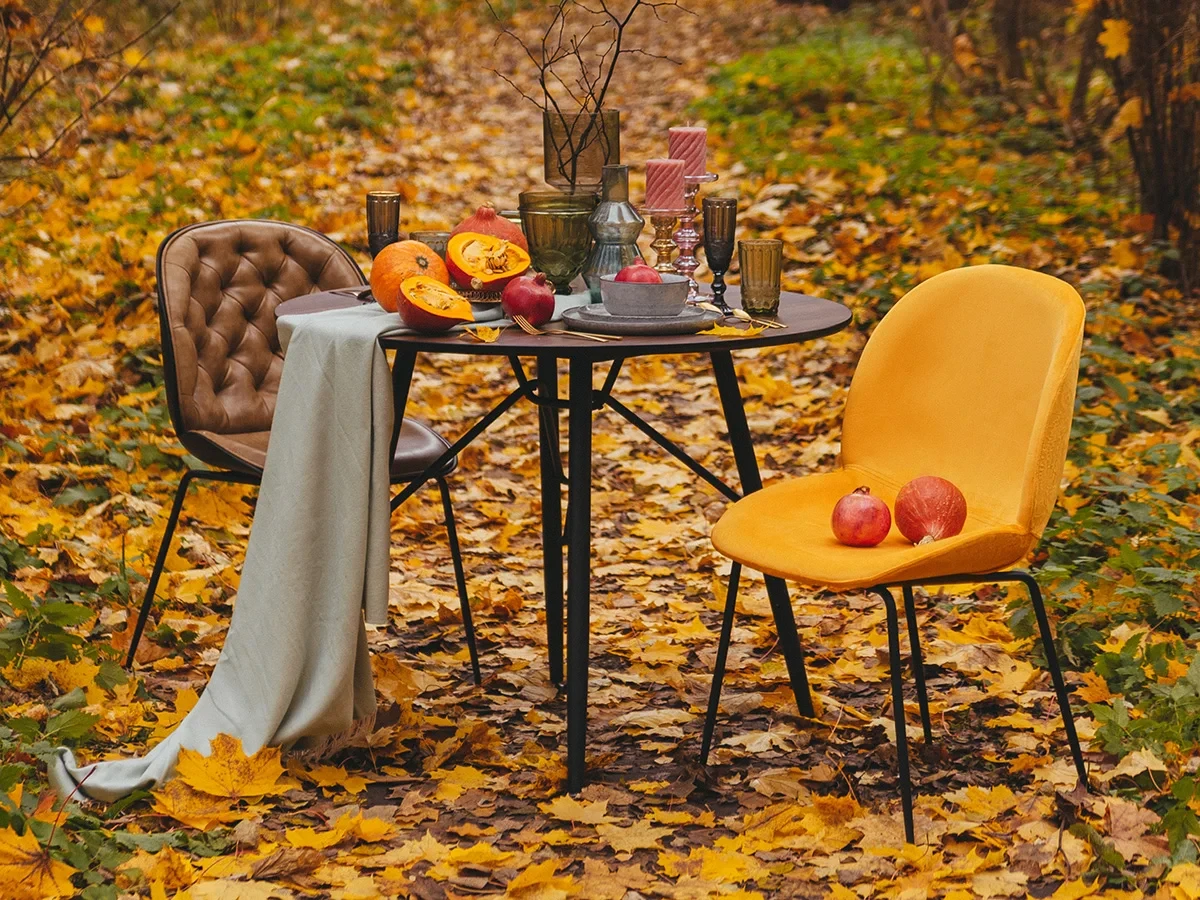 купить Стул Beetle в интернет-магазине