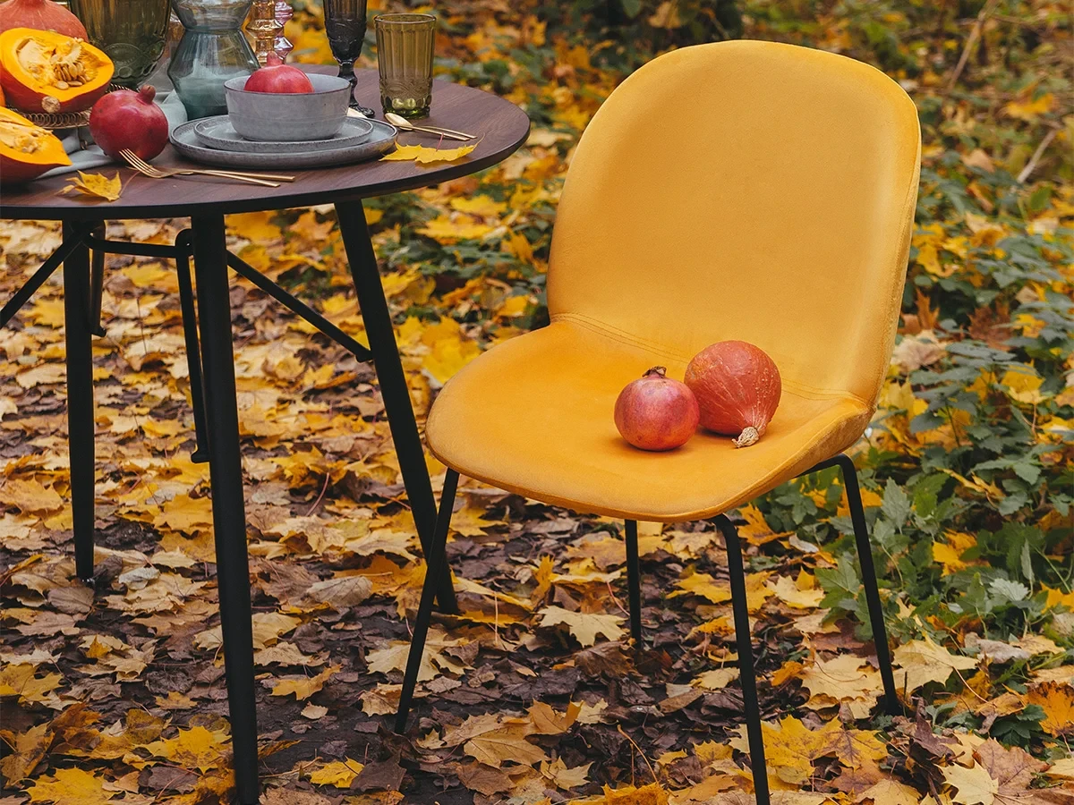 стильный Стул Beetle