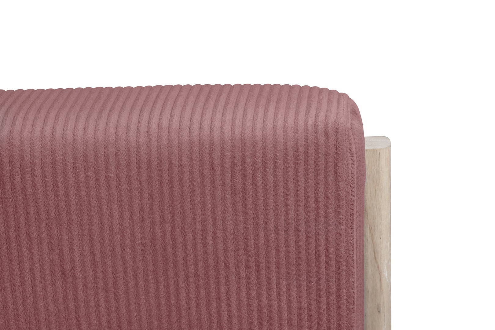 фото Кресло дизайнерское Cody Coral