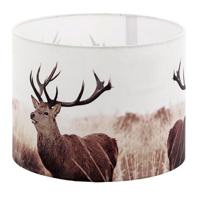 49863 Абажур в Санкт-Петербурге 49863 Абажур