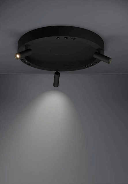 390052 Потолочный светильник BRUSCOLI в Санкт-Петербурге 390052 Потолочный светильник BRUSCOLI