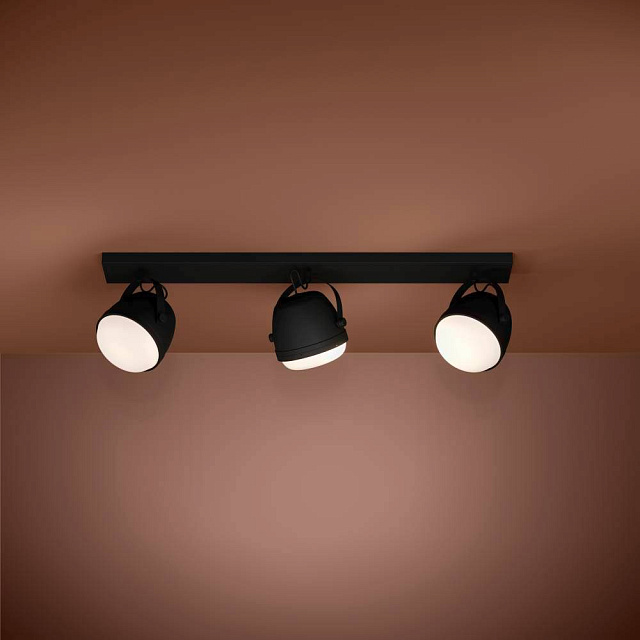 390045 Потолочный светильник UPANEMA в Санкт-Петербурге 390045 Потолочный светильник UPANEMA