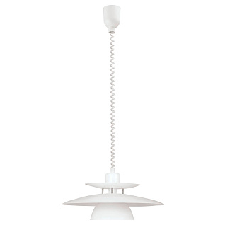 87055 Подвесной потолочный светильник (люстра) BRENDA