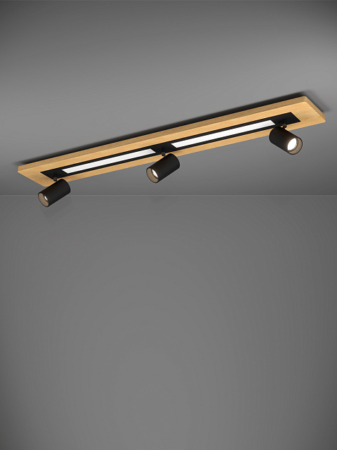 39749 Светодиодный потолочный светильник TORRESTRALLE в Санкт-Петербурге 39749 Светодиодный потолочный светильник TORRESTRALLE