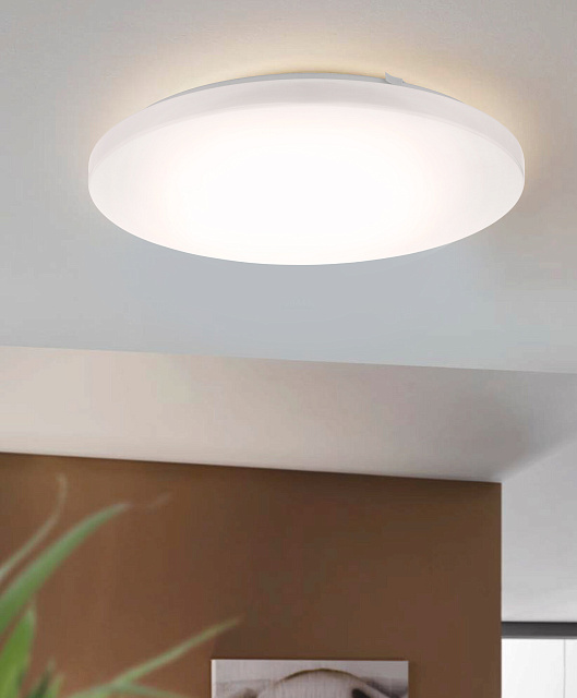 97873 Светильник настенно-потолочный светодиодный FRANIA в Санкт-Петербурге 97873 Светильник настенно-потолочный светодиодный FRANIA