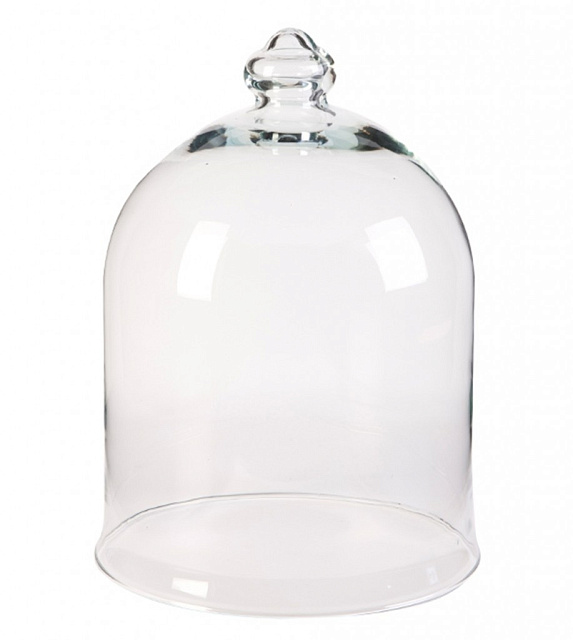 Колпак для цветов Agatha Vase в Санкт-Петербурге Колпак для цветов Agatha Vase