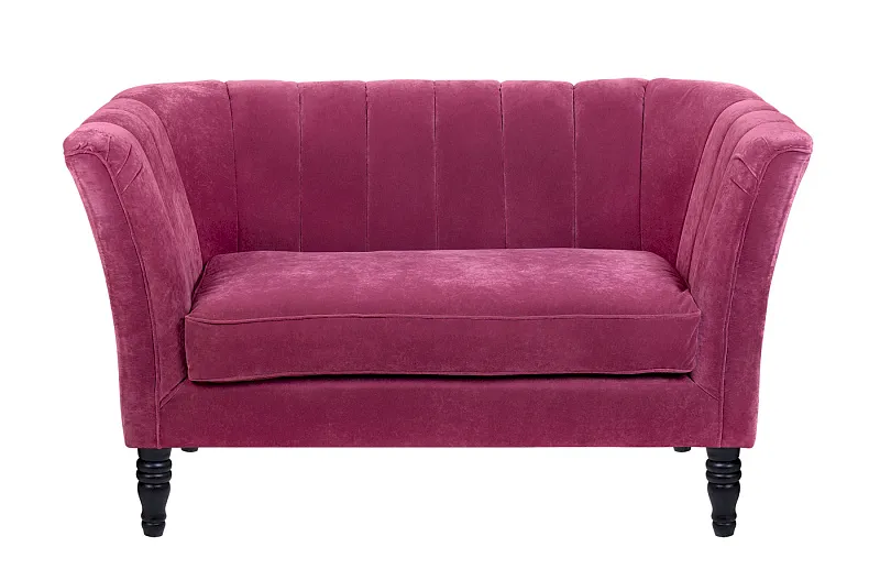 Дизайнерский двухместный диван Dalena Violet