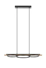заказать 99625 Подвесной потолочный светильник (люстра) BOYAL в Санкт-Петербурге
