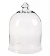 Колпак для цветов Agatha Vase №0 в Санкт-Петербурге