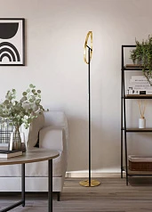 901973 Светодиодный торшер CASTELPOTO, 2X8,8W(LED), 3000K, 2000lm, сталь, латунь состаренный, черный, белый в интернет-магазине в Санкт-Петербурге