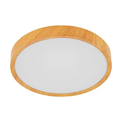 купить стильные 98602 Светодиодный потолочный светильник MUSURITA в Санкт-Петербурге