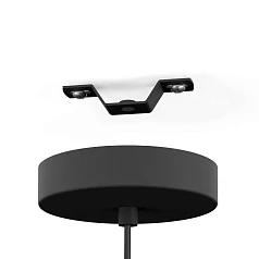 43965 Подвесной светильник (люстра) RINROE, 1X40W (E27), ?325, сталь, черный в Санкт-Петербурге