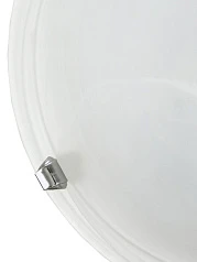 фото 7186 Светильник настенно-потолочный SALOME в Санкт-Петербурге