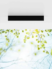 900261 Уличный накладной светильник SALITTA в Санкт-Петербурге