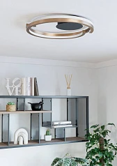 901825 Светодиодный настенно-потолочный светильник с регулировкой цветовой температуры MEZZOMONTE, 1X20W 1X20W(LED LED), 2700-6500K, 2220 2220lm, алюм в Санкт-Петербурге