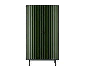 купить Шкаф двухдверный "Emerson" арт EM091/green/L в интернет-магазине в Санкт-Петербурге