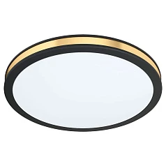 99406 Настенно-потолочный светильник светодиодный PESCAITO в интернет-магазине в Санкт-Петербурге