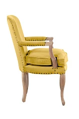 Мягкое полукресло с подлокотниками Anver Oak Yellow в Санкт-Петербурге