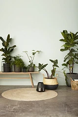 СКАМЬЯ HUBSCH ИЗ ДУБА в Санкт-Петербурге