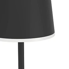 фото 901748 Аккуммуляторный торшер сенсорный, диммируемый MANNERA-L в Санкт-Петербурге