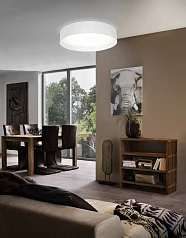 заказать стильные 31588 Светильник потолочный светодиодный PASTERI в Санкт-Петербурге