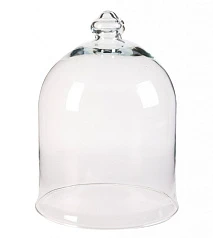 купить Колпак для цветов Agatha Vase в Санкт-Петербурге