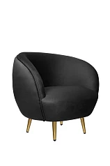Мягкое кресло для гостиниц Small Benee Black в Санкт-Петербурге